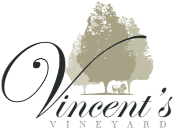 Vincent's Vineyard